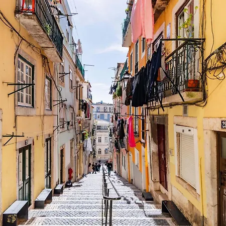 Aciprestes Guest Lisboa